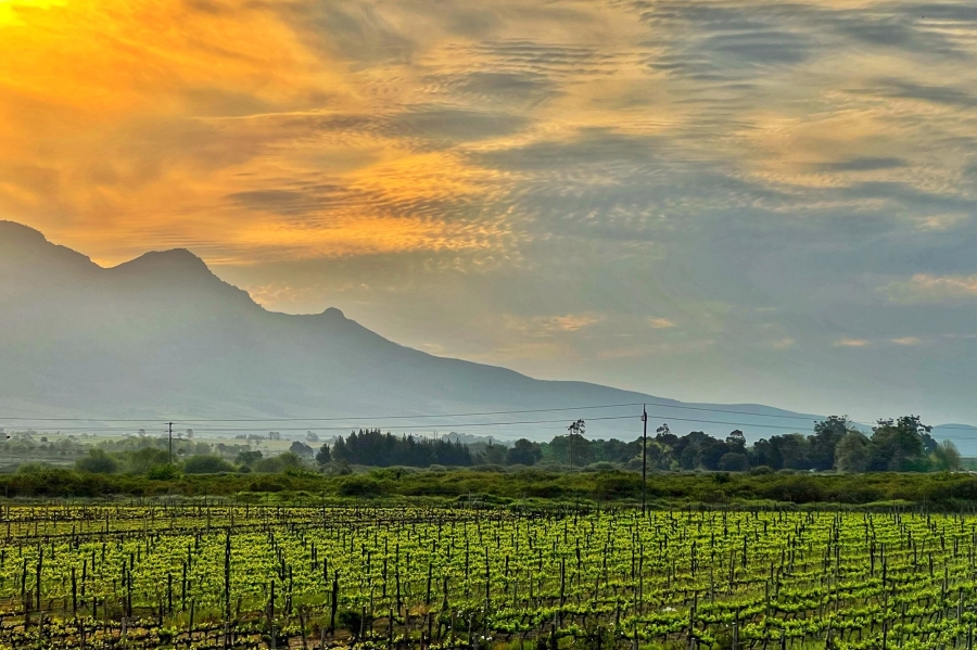 0 Bedroom Property for Sale in Franschhoek Rural Western Cape